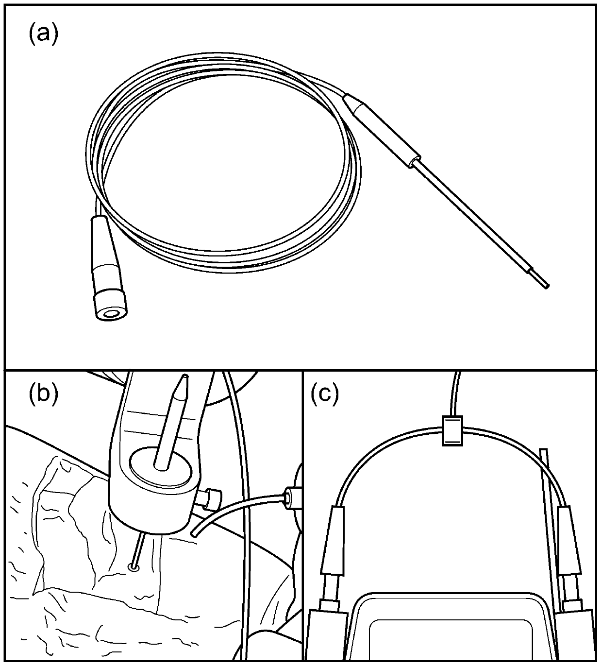 Delivery of a selectively replicating herpes simplex viral vector to the brain by convection- enhanced delivery (CED)