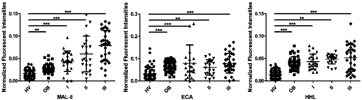 Application of specific lectin composition in preparing test carrier for identifying epithelial ovarian cancer, and kit