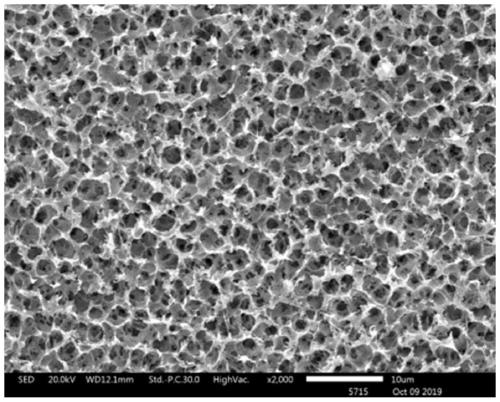 Polyvinyl alcohol-ethylene copolymer honeycomb porous membrane and preparation method thereof