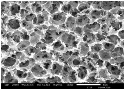 Polyvinyl alcohol-ethylene copolymer honeycomb porous membrane and preparation method thereof