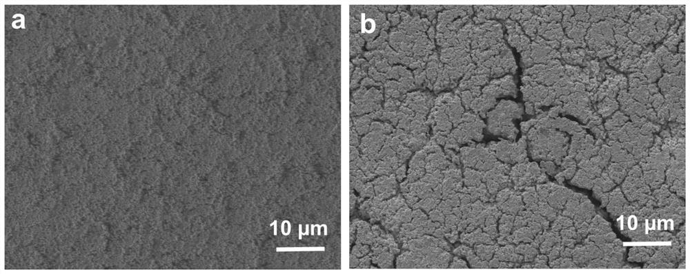 Difunctional elastic polyurea adhesive as well as preparation method and application thereof