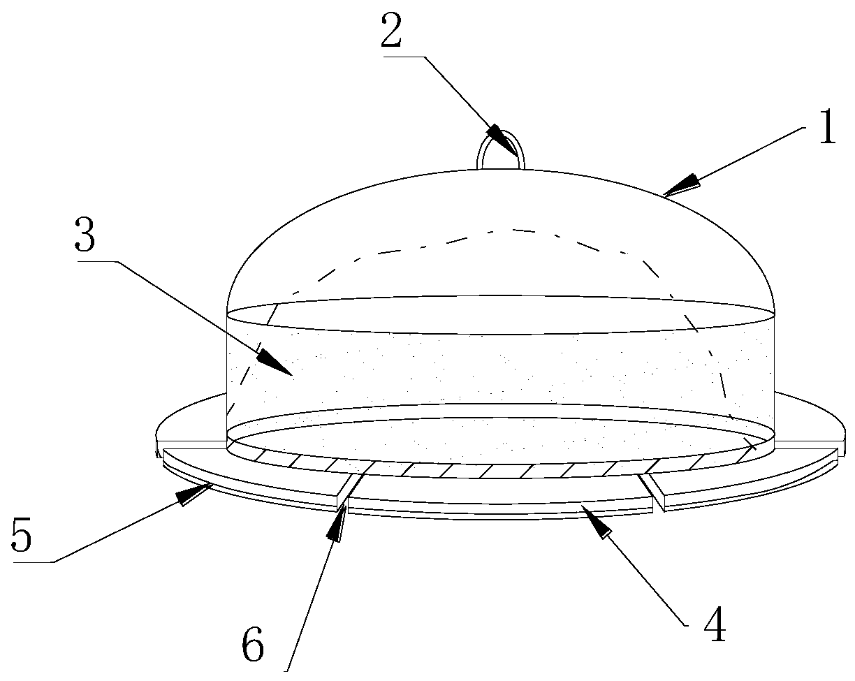 Foldable protective dressing device for brain tissue exposure