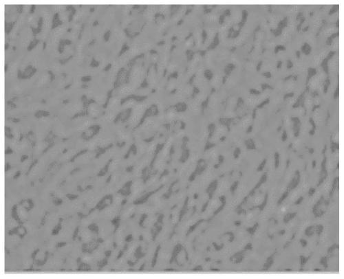 Tobacco shred perfuming uniformity detection method based on scanning electron microscope energy spectrum
