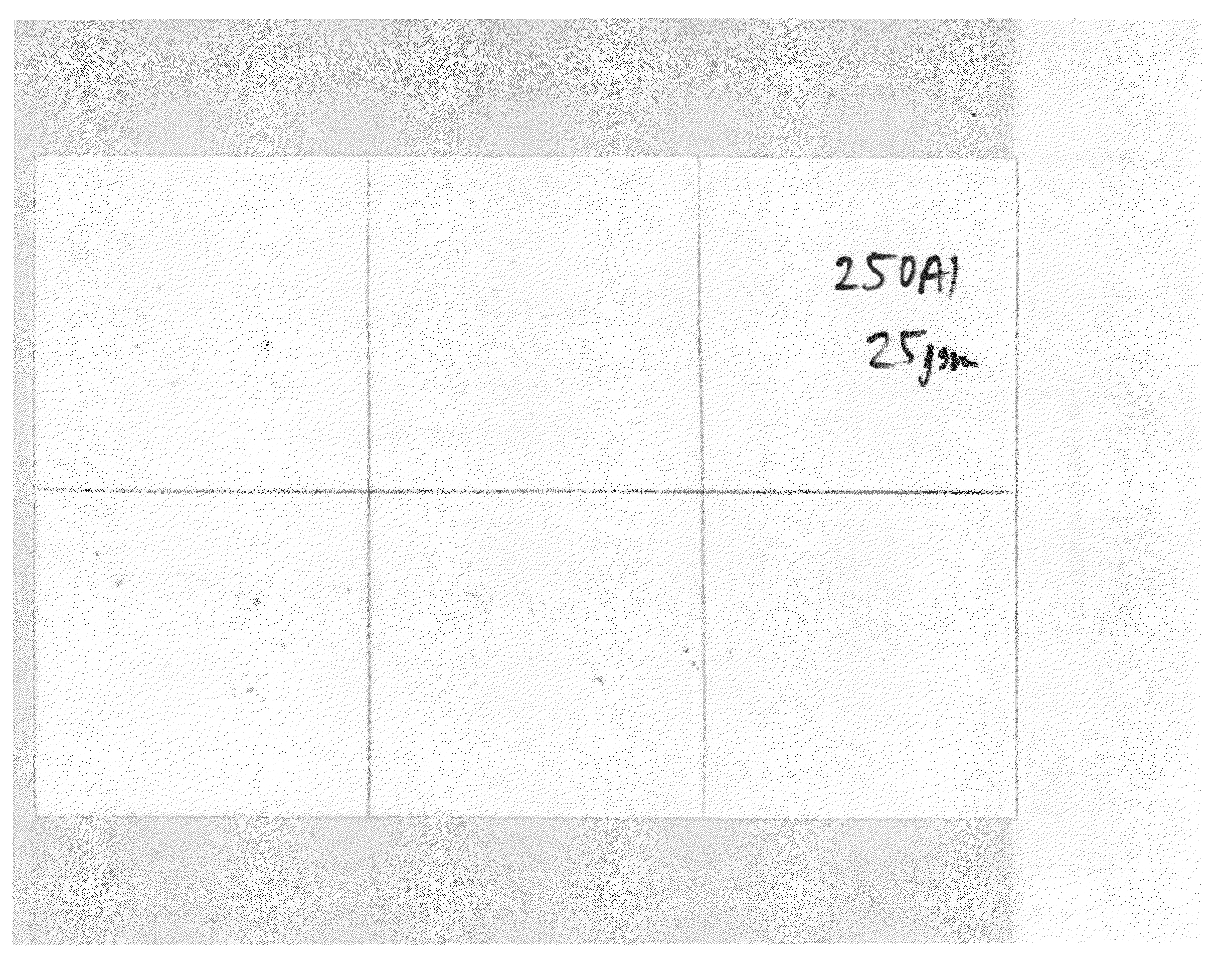 Breathable film with internal viral and alcohol barrier layer