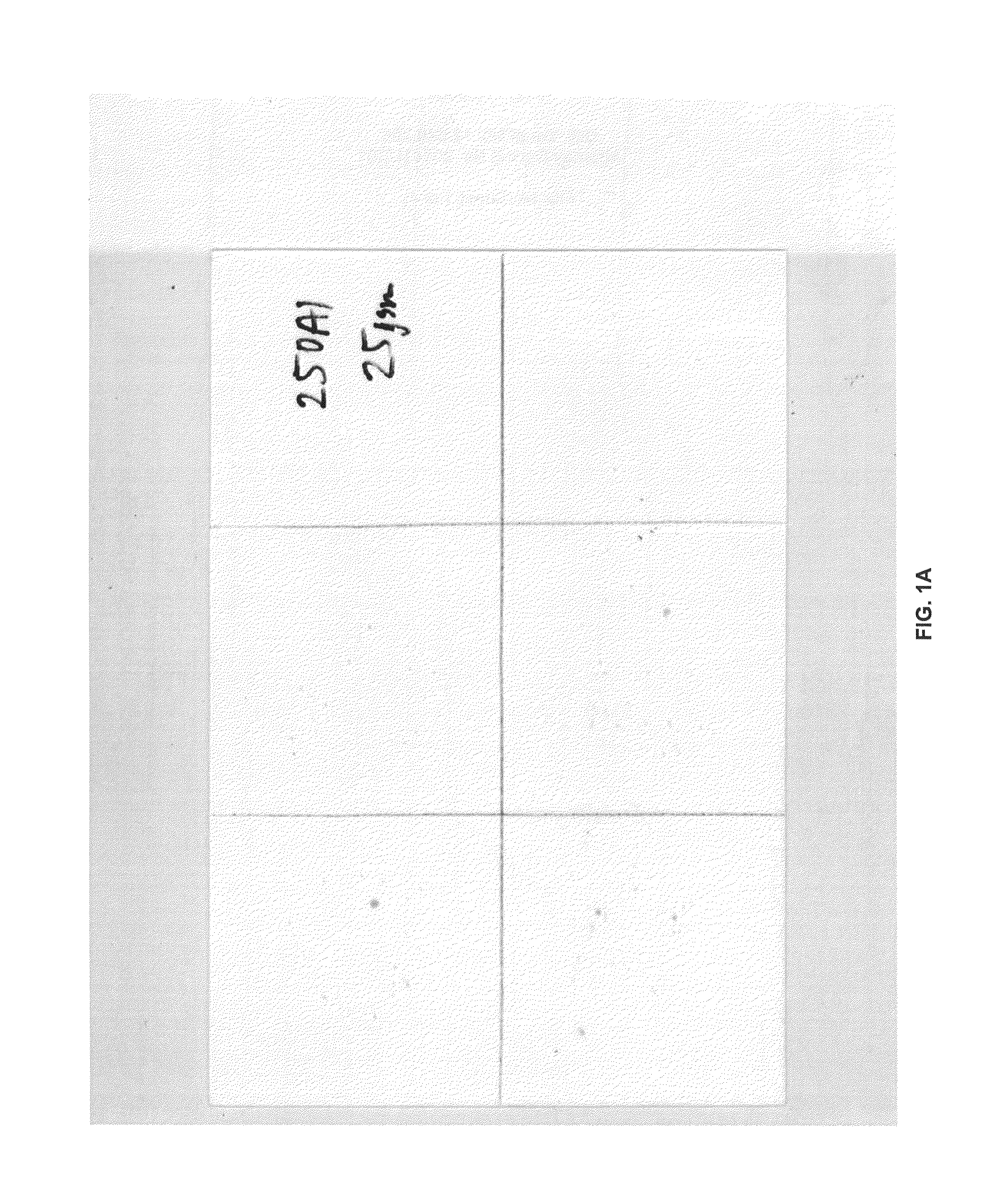 Breathable film with internal viral and alcohol barrier layer