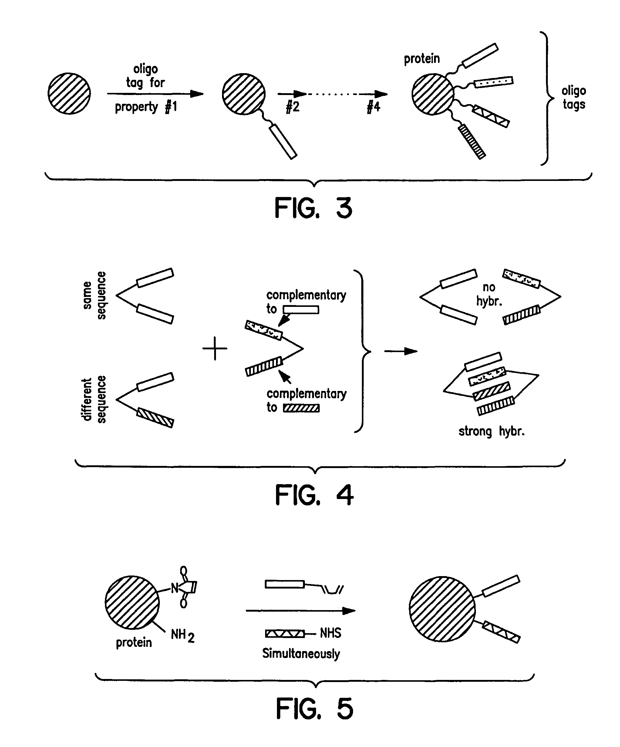 Capture compounds, collections thereof and methods for analyzing the proteome and complex compositions