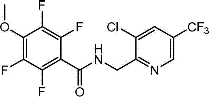 Bactericide composition for preventing and controlling cotton disease