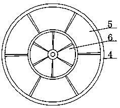 Novel sprout planting device