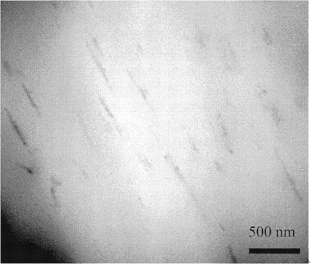 Oriented carbon nanotube/polyolefin composite material and preparation method thereof