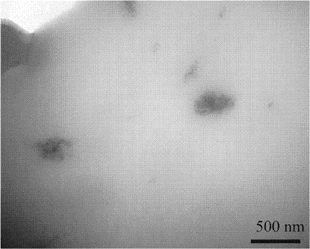 Oriented carbon nanotube/polyolefin composite material and preparation method thereof