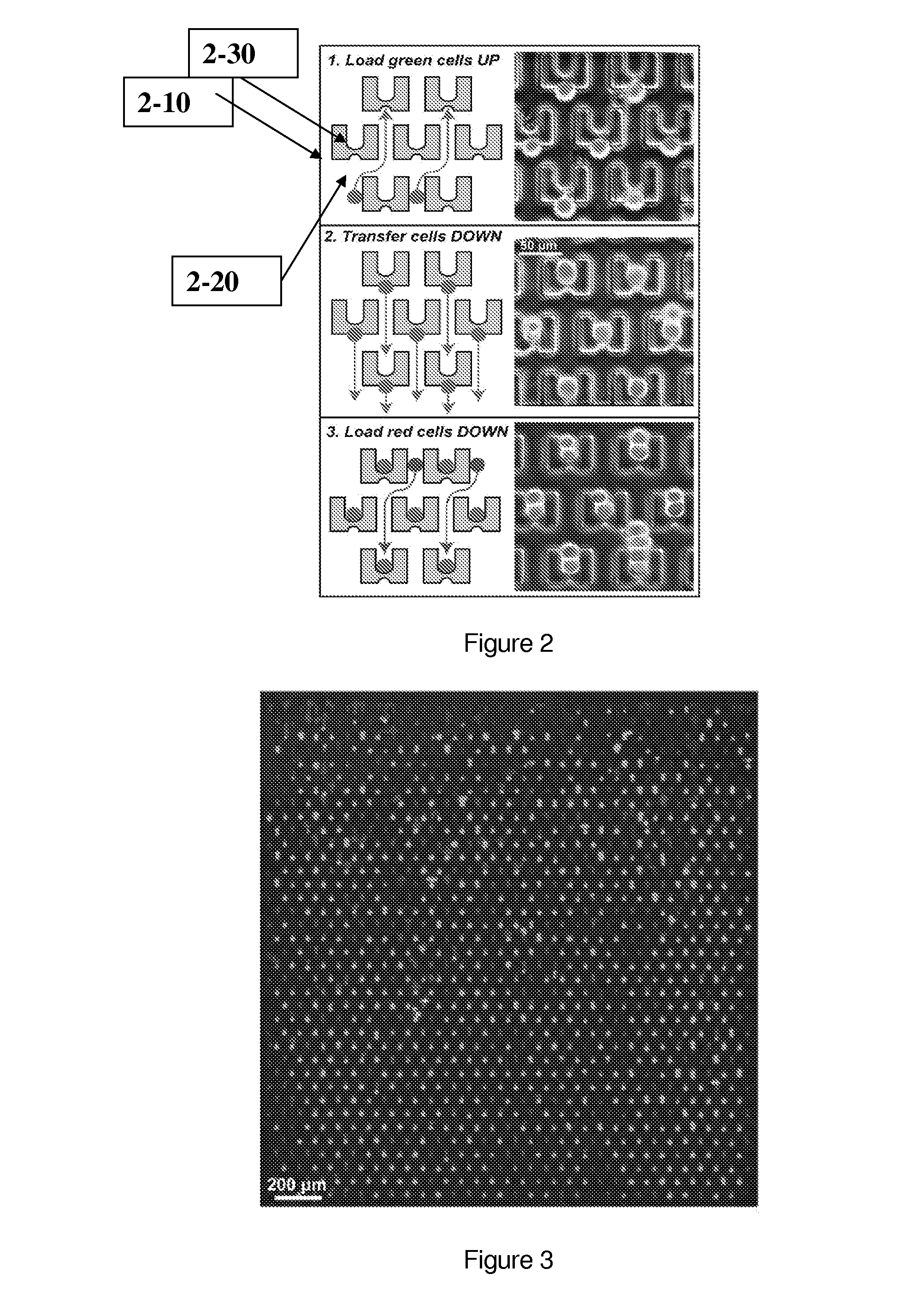 Particle capture devices and methods of use thereof
