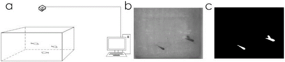 Fish group individual target tracking method based on visual attention model