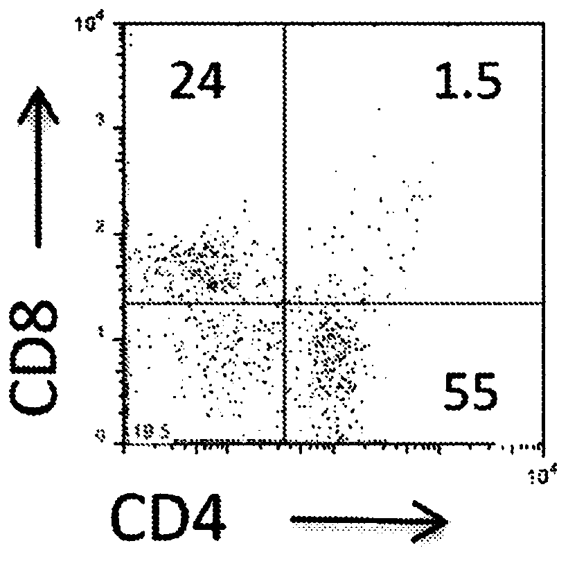 Subject-specific tumor inhibiting cells and the use thereof