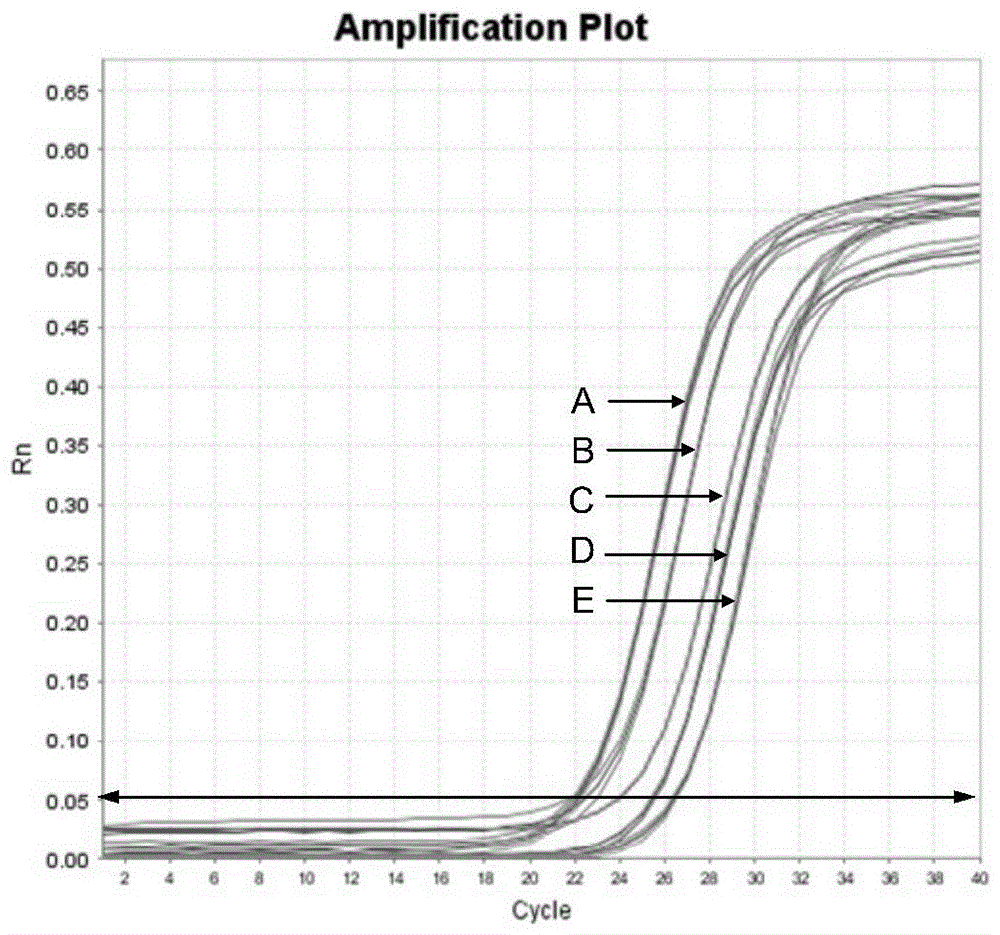 Detection method and kit for the resistance of diamondback moth to bt insecticidal protein cry1ac based on abcc3 gene