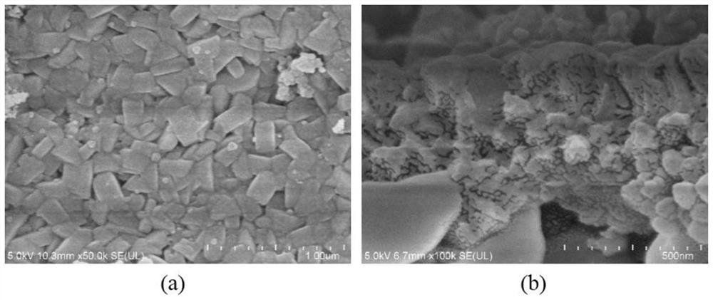 All-silicon/high-silicon molecular sieve membrane and quick preparation method thereof