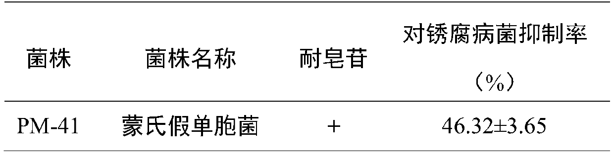 Pseudomonas monteilii and application thereof