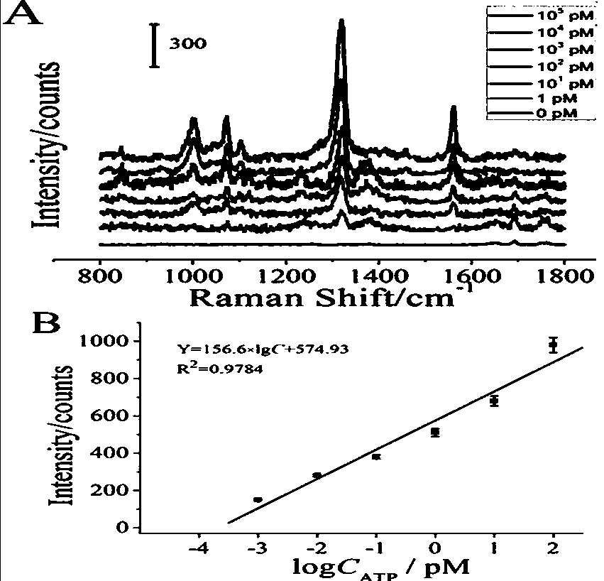 Biosensor for detecting ATP activity and preparation method and application thereof