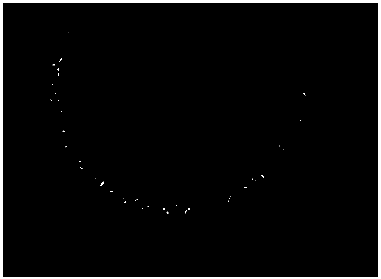 A kind of phytoplankton specimen embedding agent and its application