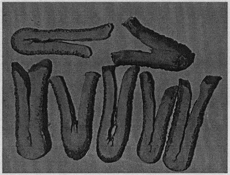 Processing method of Fructus Aurantii