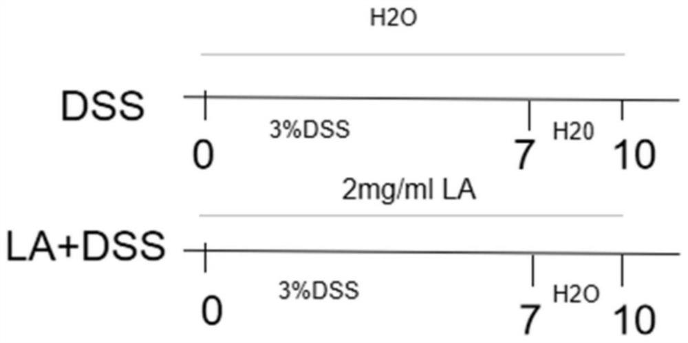 Application of flavonoid compound and medicine for preventing ulcerative colitis