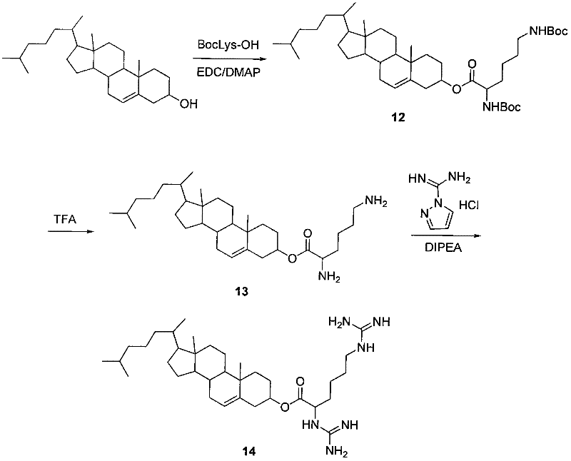 Branched cationic lipids for nucleic acids delivery system