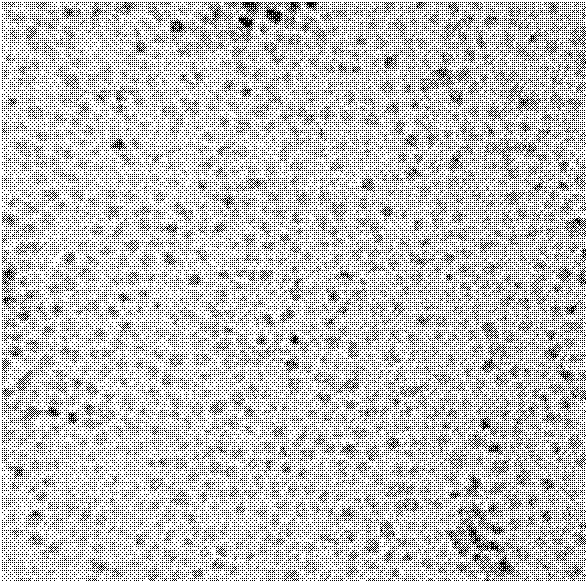 Immunochromatographic test paper for detecting enrofloxacin and preparation method thereof