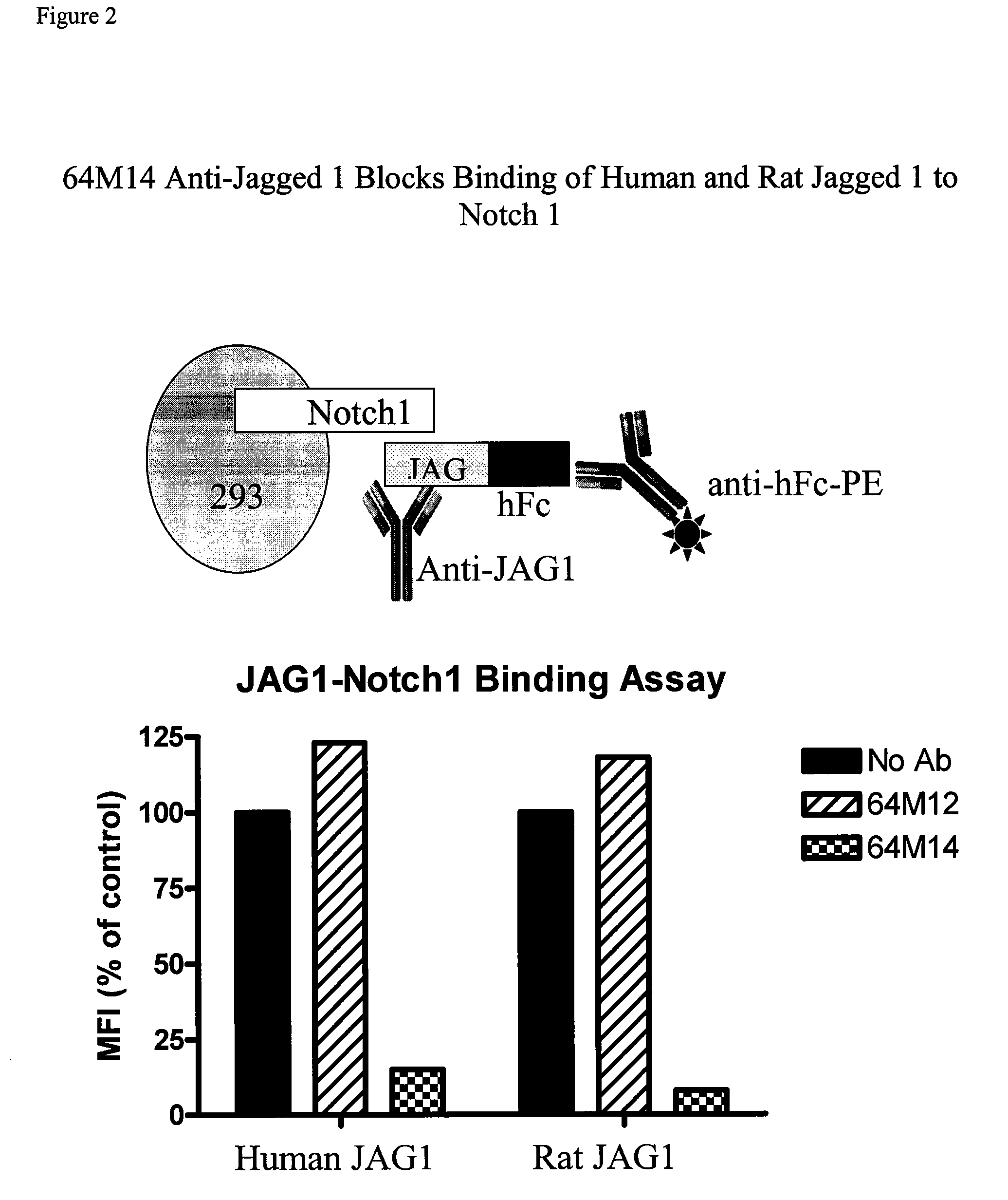 Compositions and Methods for Diagnosing and Treating Cancer