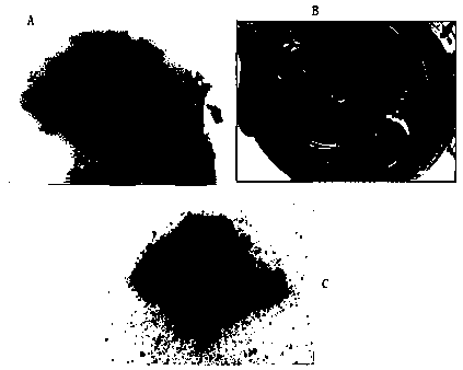 A kind of lac waste slag glue chain extension modified powder and preparation method thereof