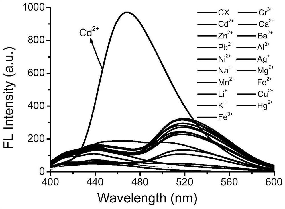 A coumarin 2-hydrazinobenzothiazole schiff base cd  <sup>2+</sup> Preparation and Application of Fluorescent Probes