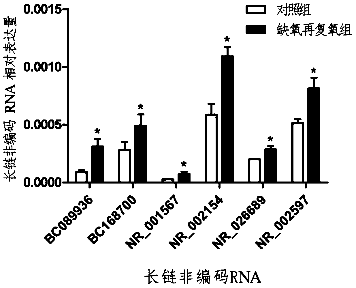 A screening method and application of lncRNA related to myocardial ischemia-reperfusion