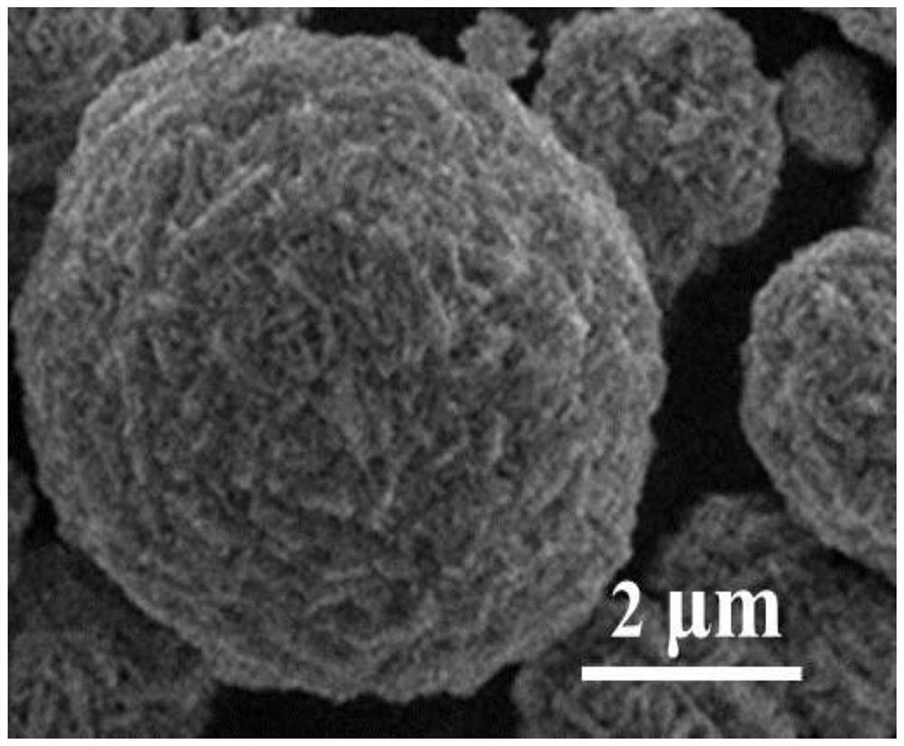 Scandium bulk phase doped and lithium chromium titanium phosphate modified positive electrode material precursor and preparation method thereof