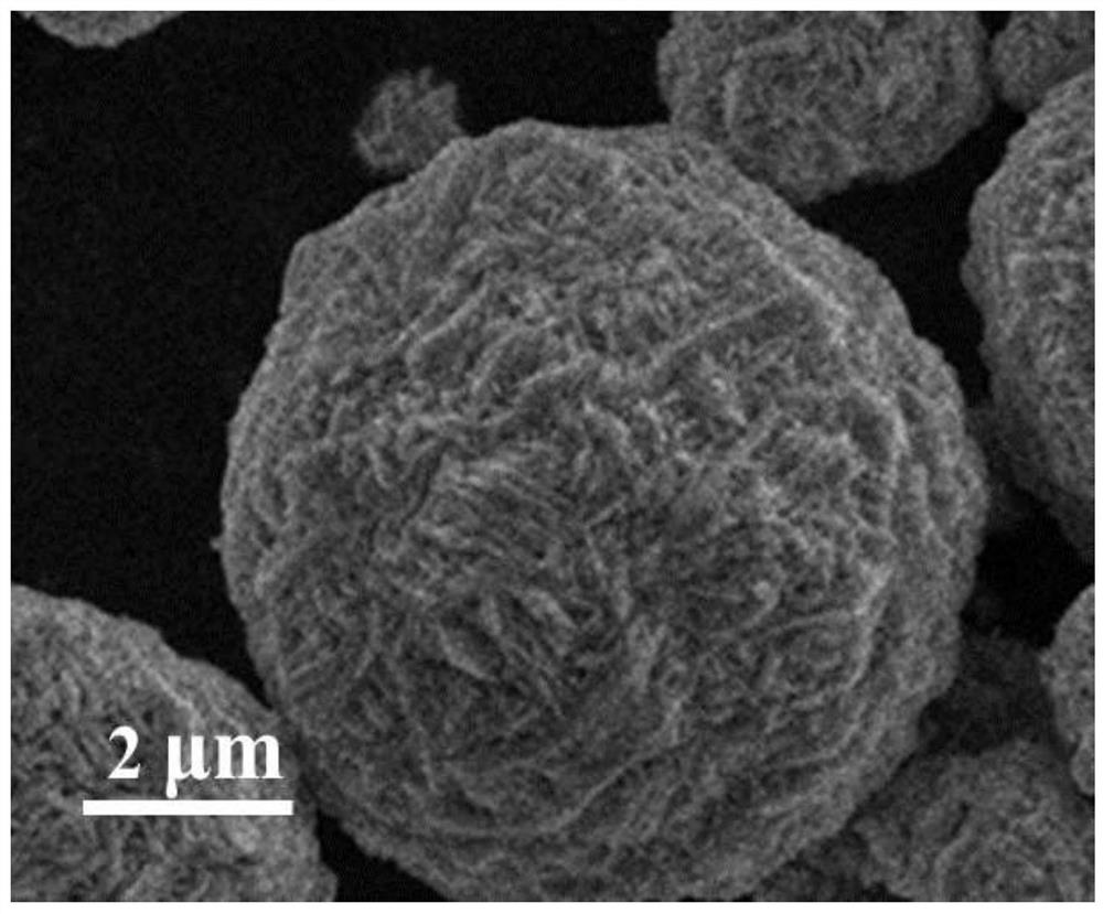 Scandium bulk phase doped and lithium chromium titanium phosphate modified positive electrode material precursor and preparation method thereof