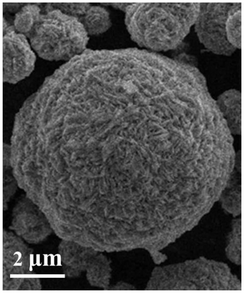 Scandium bulk phase doped and lithium chromium titanium phosphate modified positive electrode material precursor and preparation method thereof