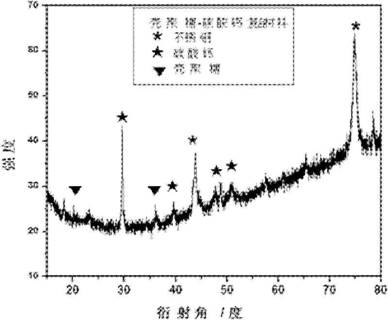 Three-dimensional network-like chitosan-calcium carbonate nano composite material as well as preparation method and cell compatibility thereof