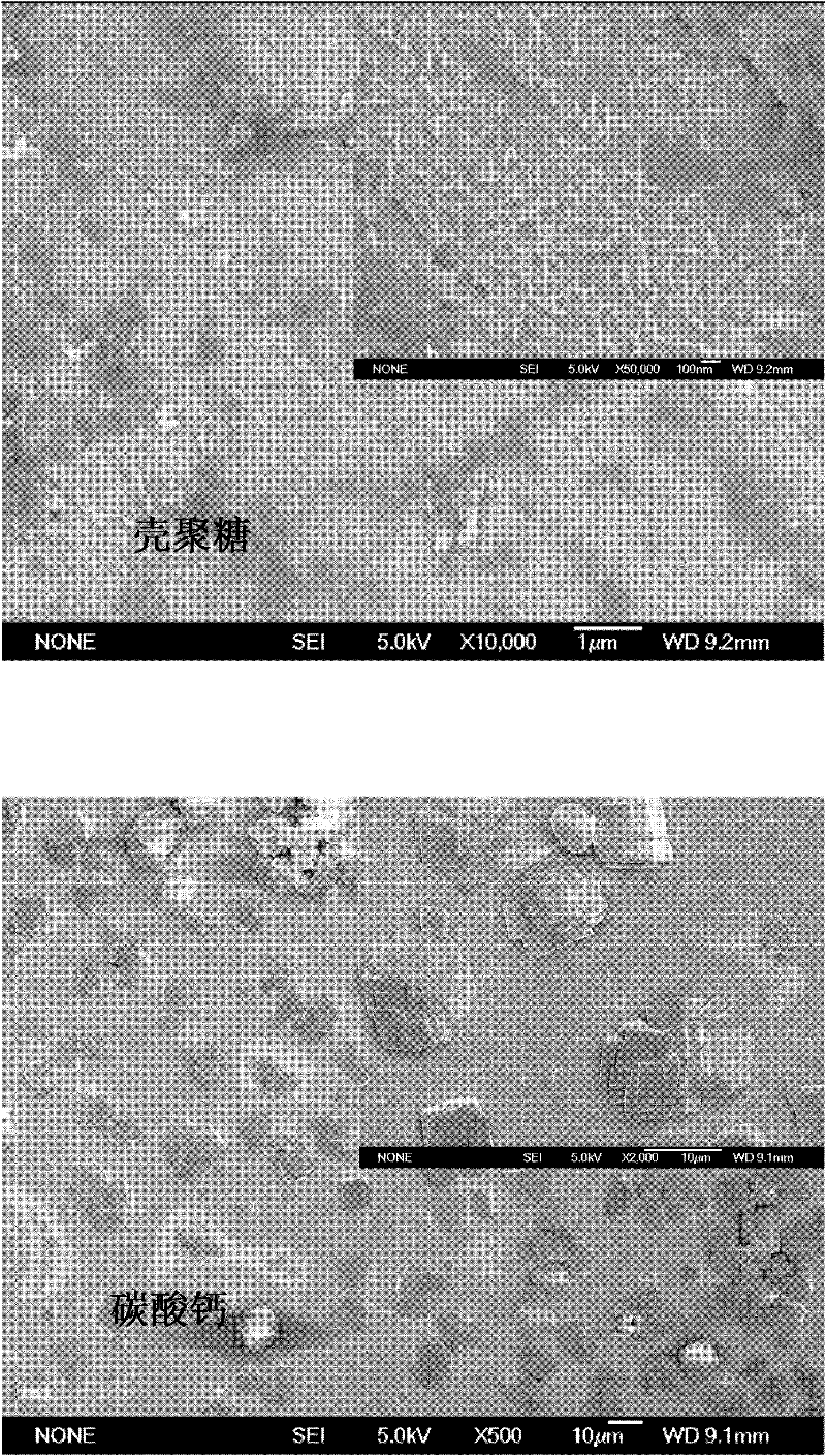 Three-dimensional network-like chitosan-calcium carbonate nano composite material as well as preparation method and cell compatibility thereof