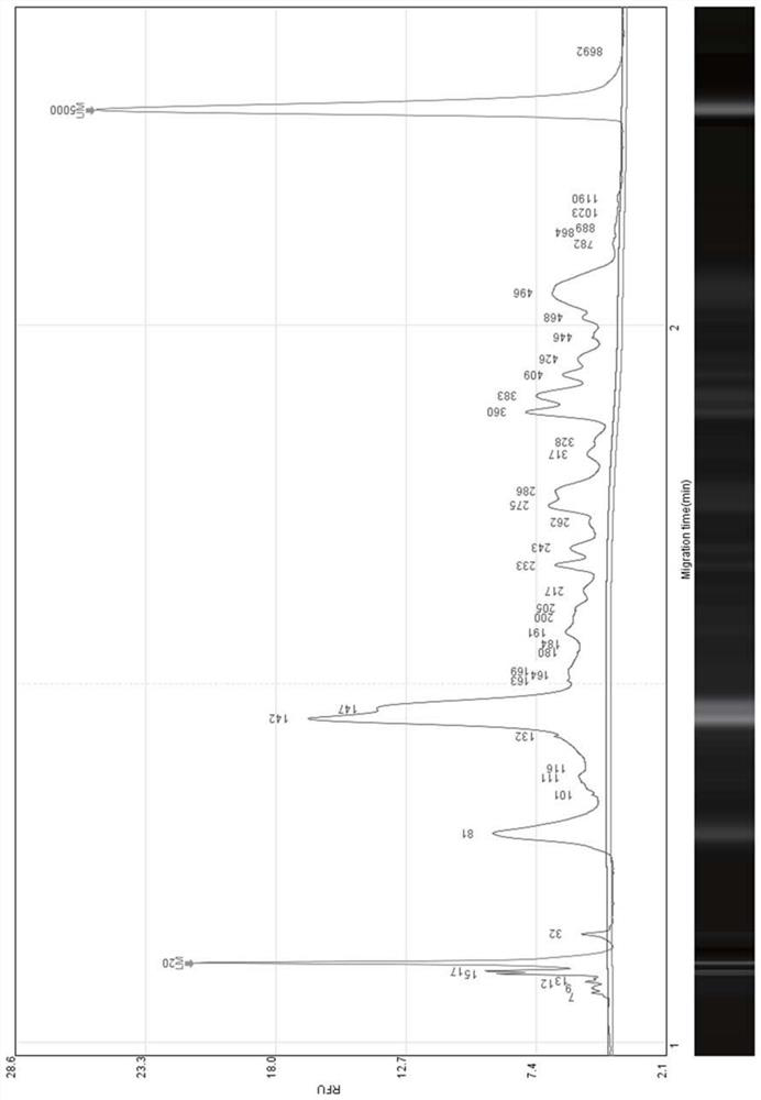 A method for extracting trace RNA