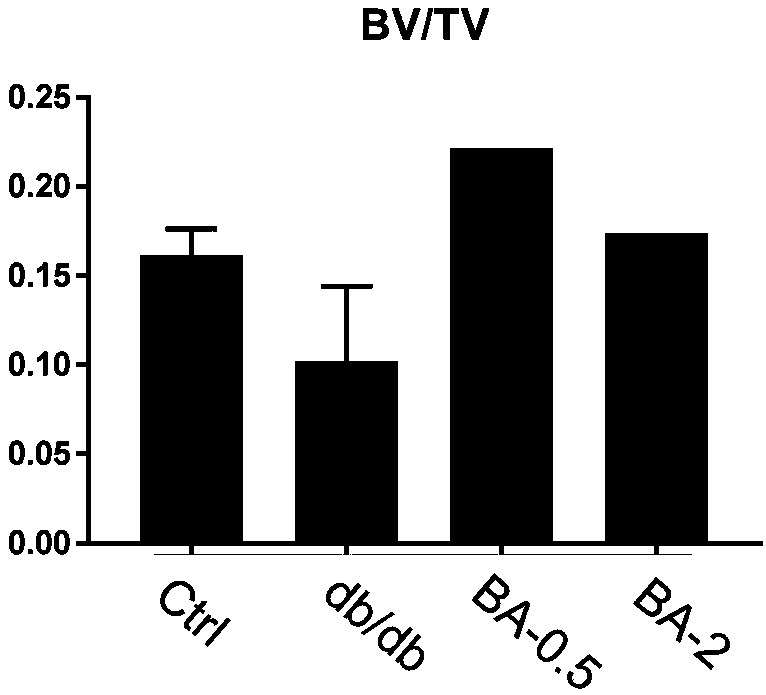 Application of bruceine A in preparation of drug for prevention and treatment of osteoporosis