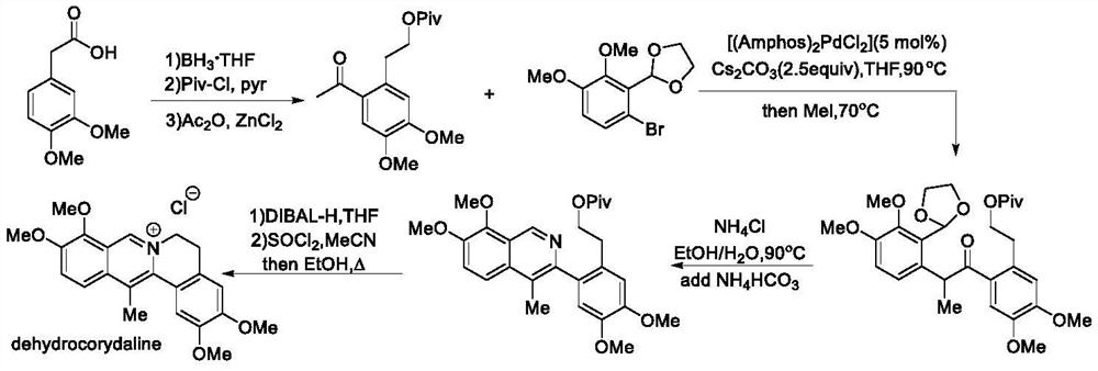 Synthesis method of 13-methyl berberine alkaloid