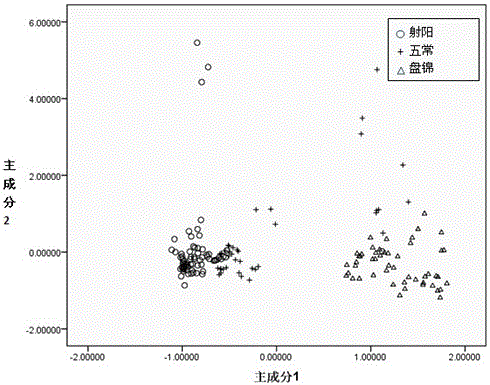 Method for distinguishing geographical indications of rice