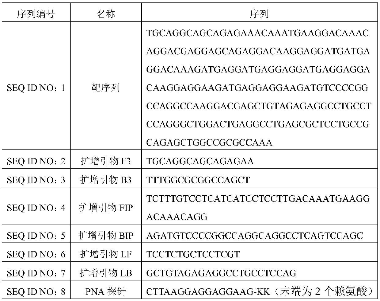 A primer composition and kit for detecting calr gene type 1 mutation