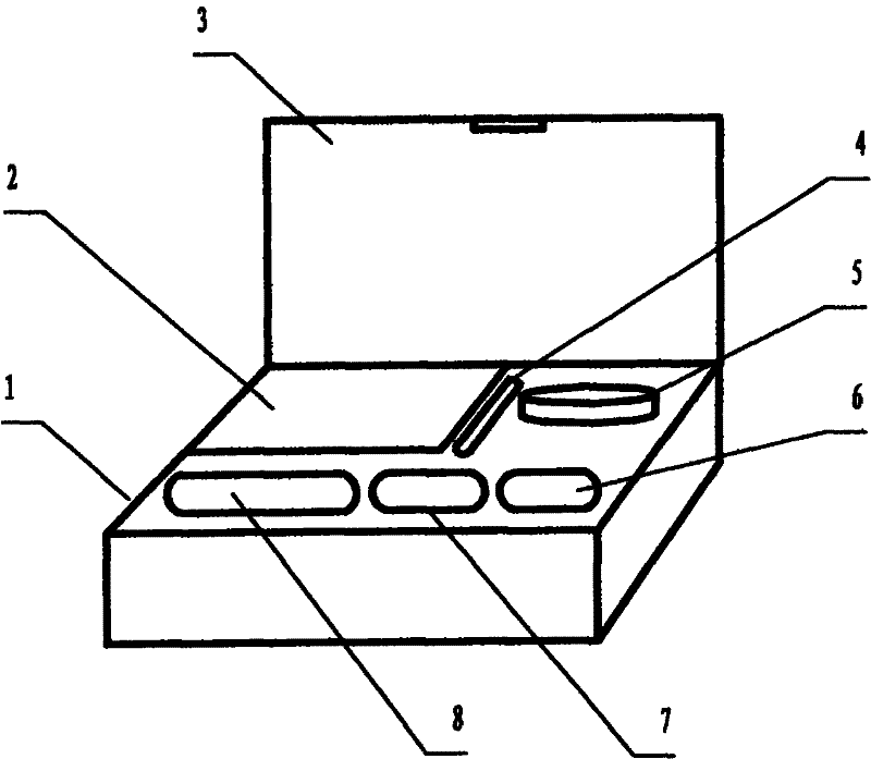 Kit for measuring acute toxicity of aqueous substances by using large siphonaptera, and manufacturing method and using method thereof