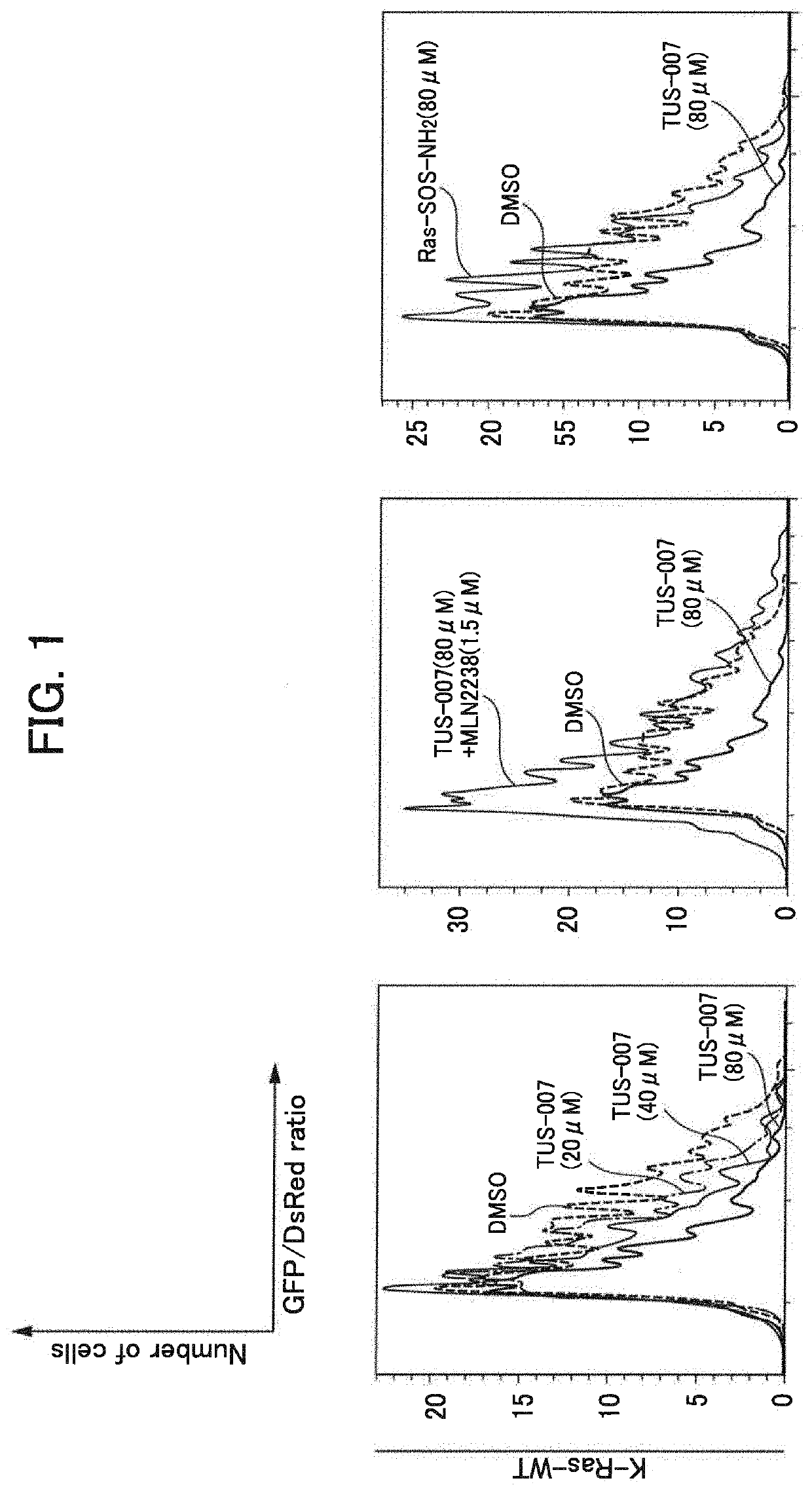 Ras protein degradation inducing molecule and pharmaceutical composition