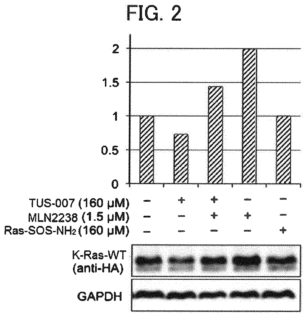 Ras protein degradation inducing molecule and pharmaceutical composition