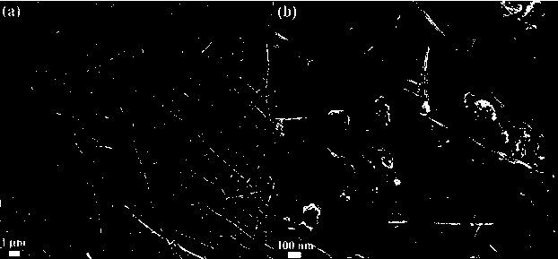 A kind of mo-titanium dioxide-agnws flexible perovskite solar cell and its preparation method