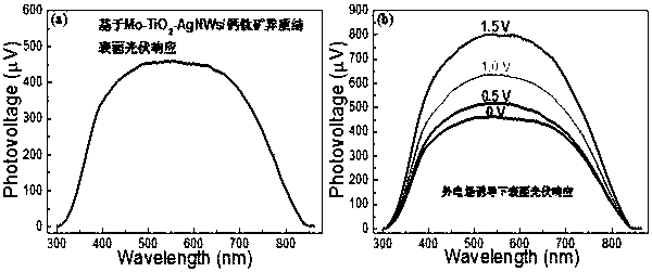 A kind of mo-titanium dioxide-agnws flexible perovskite solar cell and its preparation method