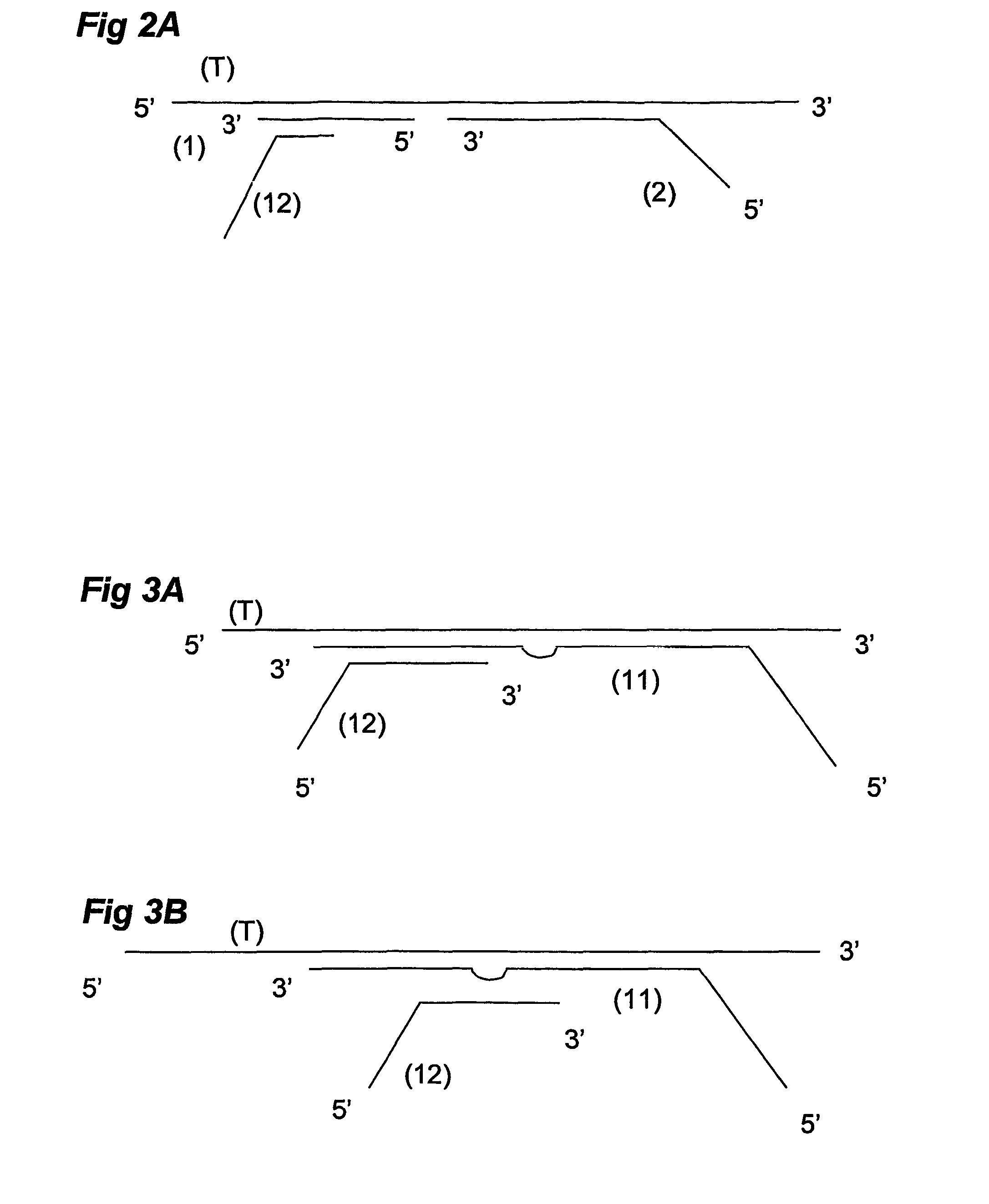 Ola-based methods for the detection of target nucleic avid sequences