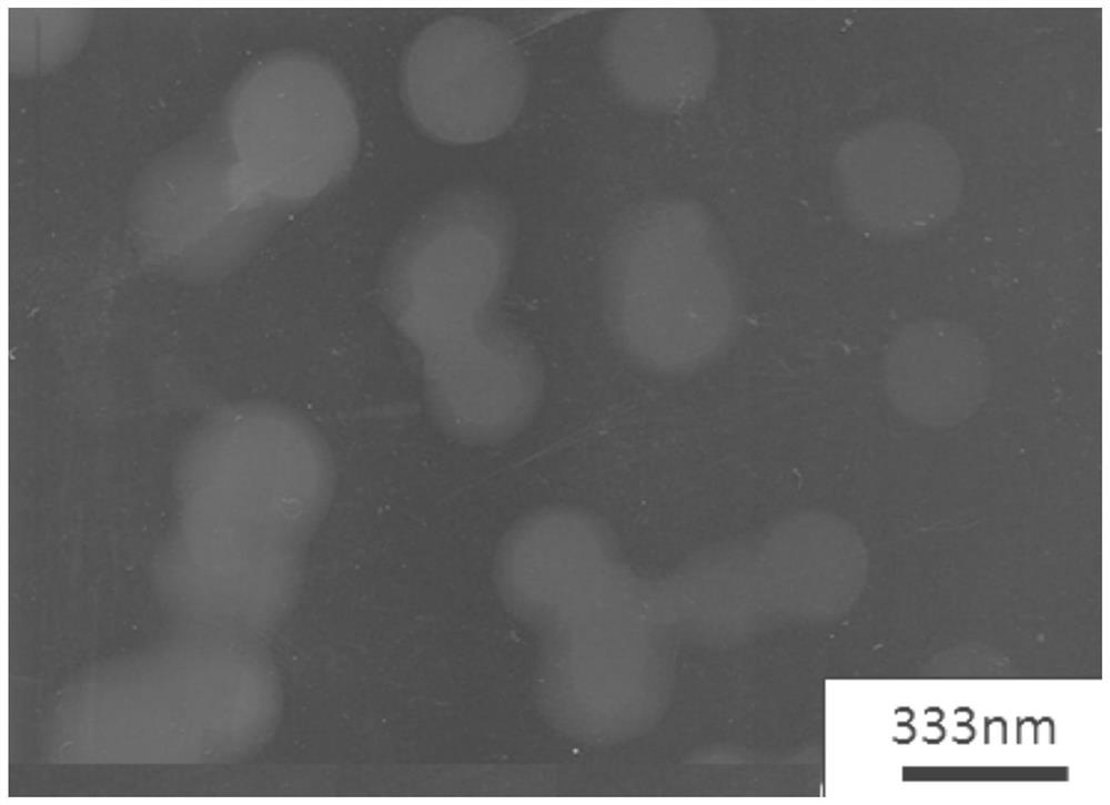 A kind of preparation method of 10-hydroxycamptothecin/porphyrin photosensitizer composite preparation