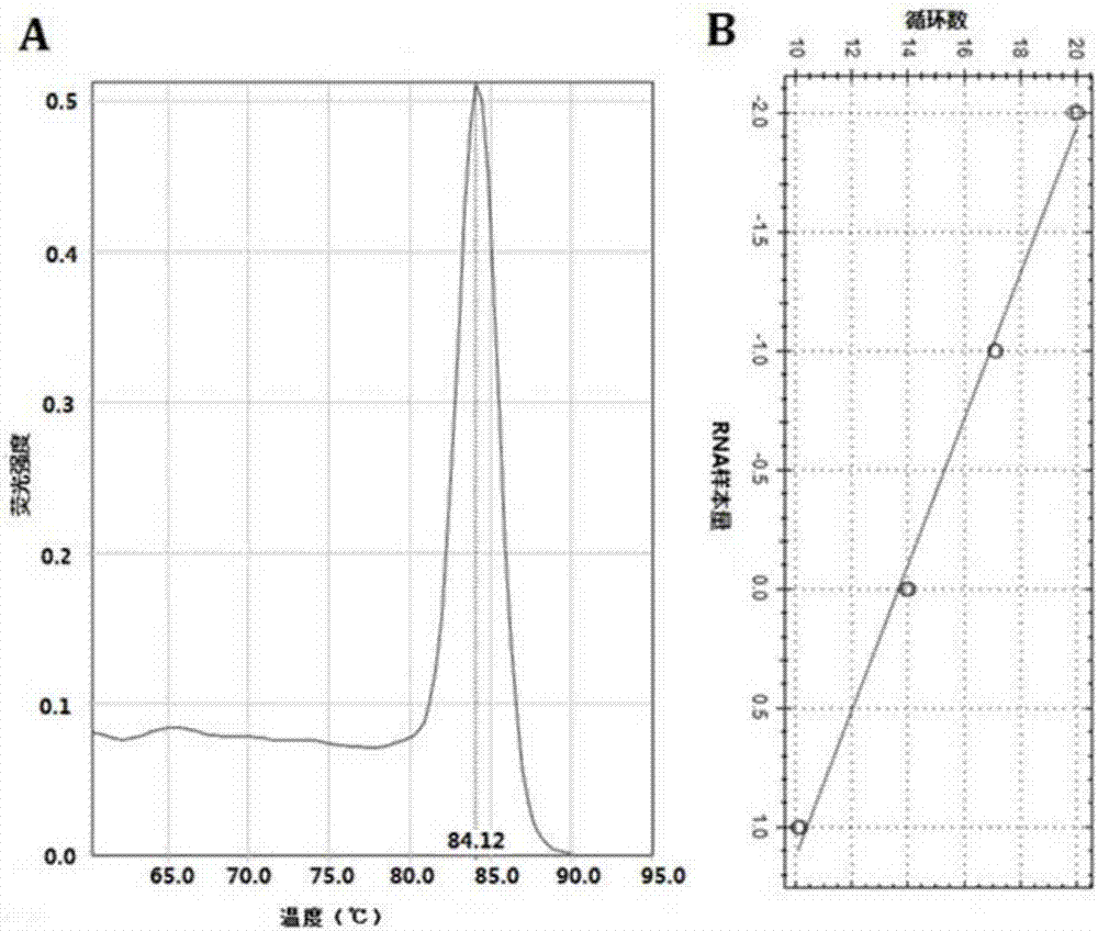 Pancreatic cancer drug tolerance detection method and kit