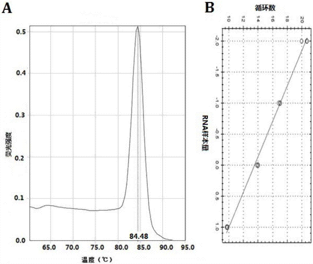 Pancreatic cancer drug tolerance detection method and kit