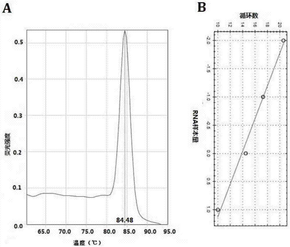 Pancreatic cancer drug tolerance detection method and kit